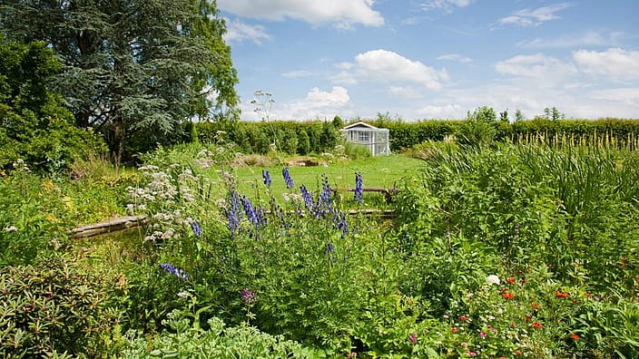 green landscape